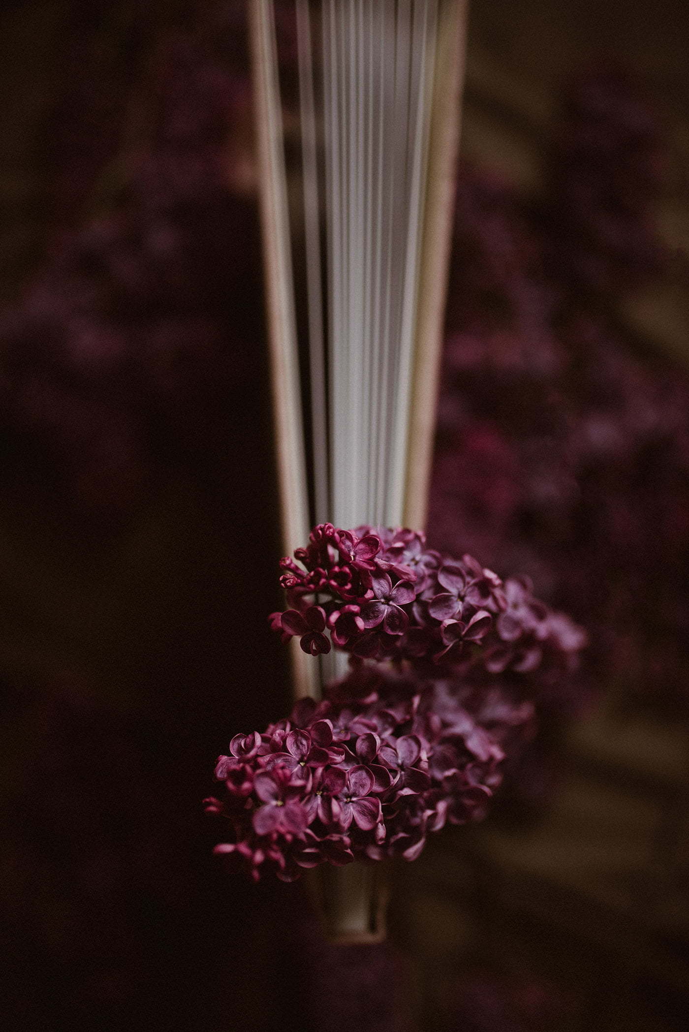 Oferta 8 oferta fotograf slubny 00003