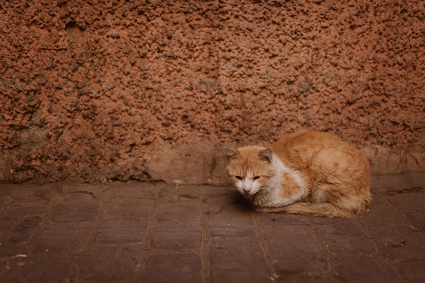 ewelina zieba marrakech sesja slubna 03