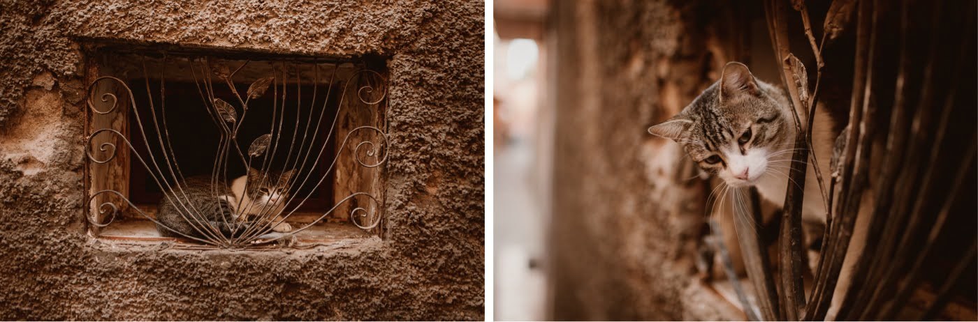 ewelina zieba marrakech sesja slubna 18