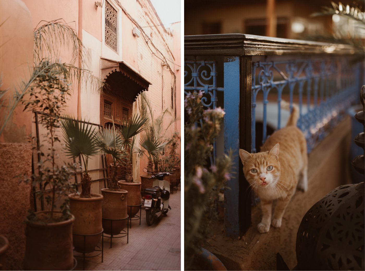 ewelina zieba marrakech sesja slubna 42