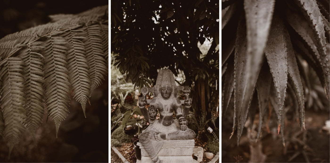 ewelina zieba rustykalna sesja szklarnia 02