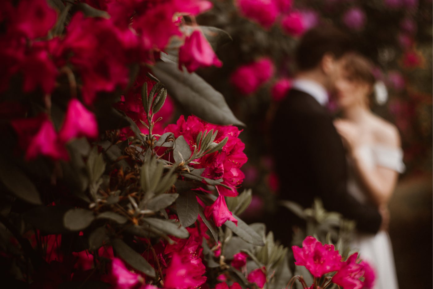 ewelina zieba sesja slubna kwiaty 19