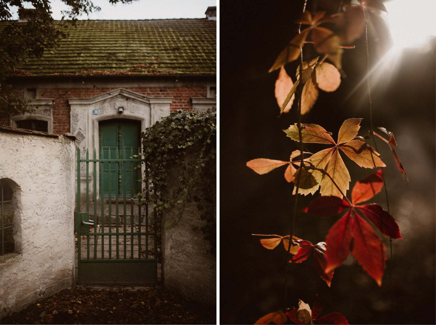 ewelina zieba sesja slubna przyborowo 11 02