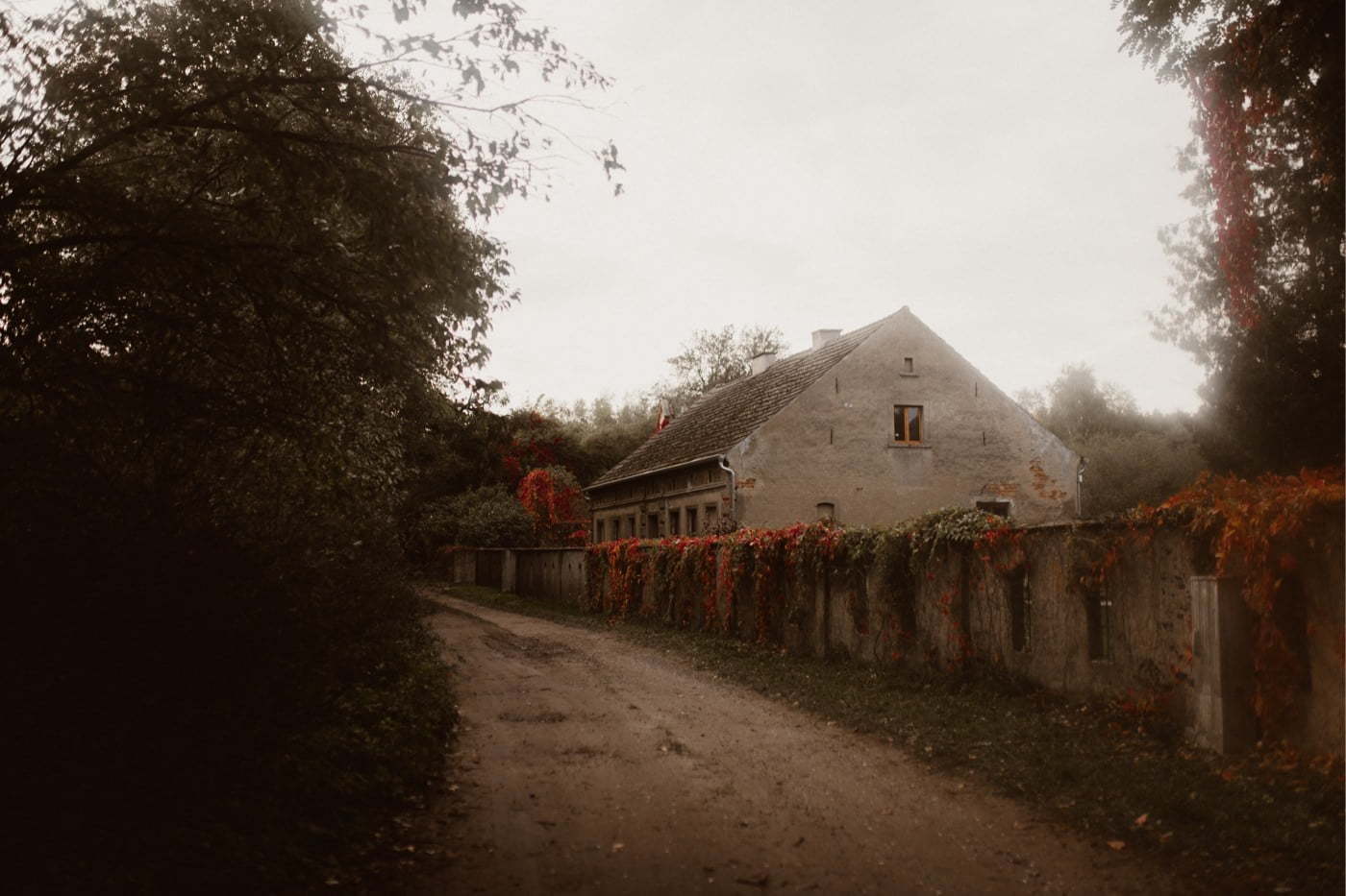 ewelina zieba sesja slubna przyborowo 11 16