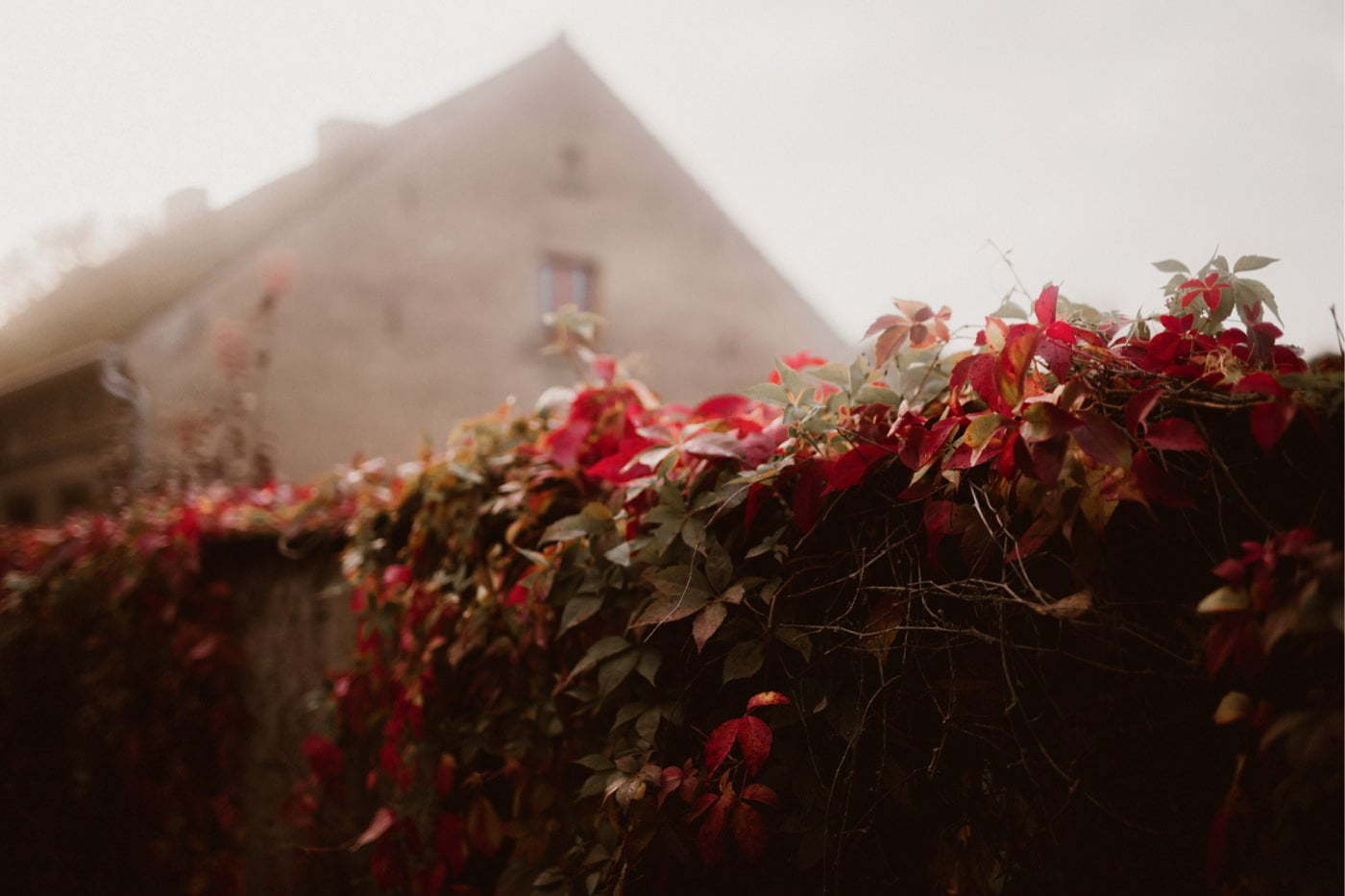 ewelina zieba sesja slubna przyborowo 11 21