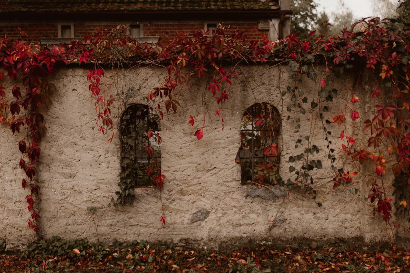ewelina zieba sesja slubna przyborowo 11 22