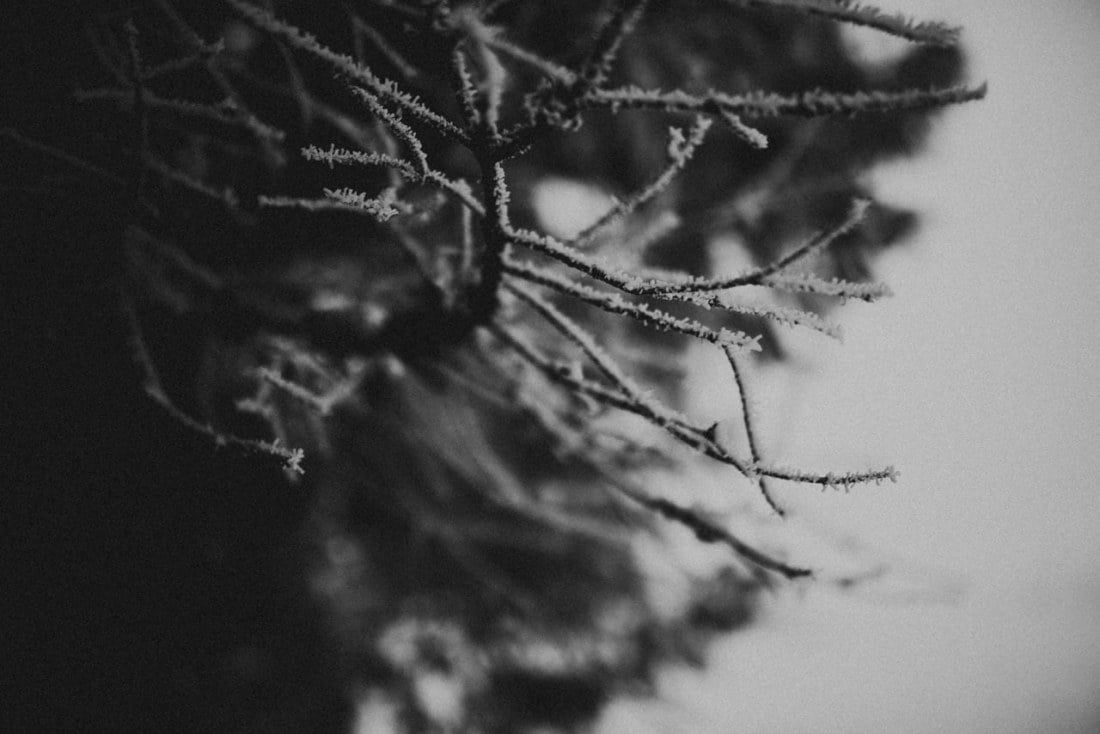 ewelina zieba sesja w tatrach zima 38