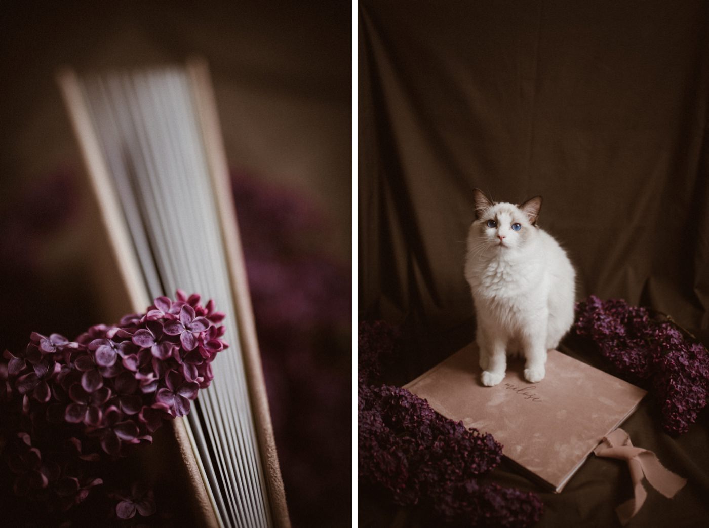 Moje ulubione zdjęcia z 2020 roku 4 ewelina zieba podsumowanie roku 2020 02