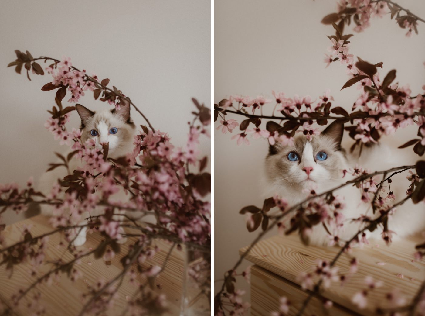 Moje ulubione zdjęcia z 2020 roku 18 ewelina zieba podsumowanie roku 2020 15