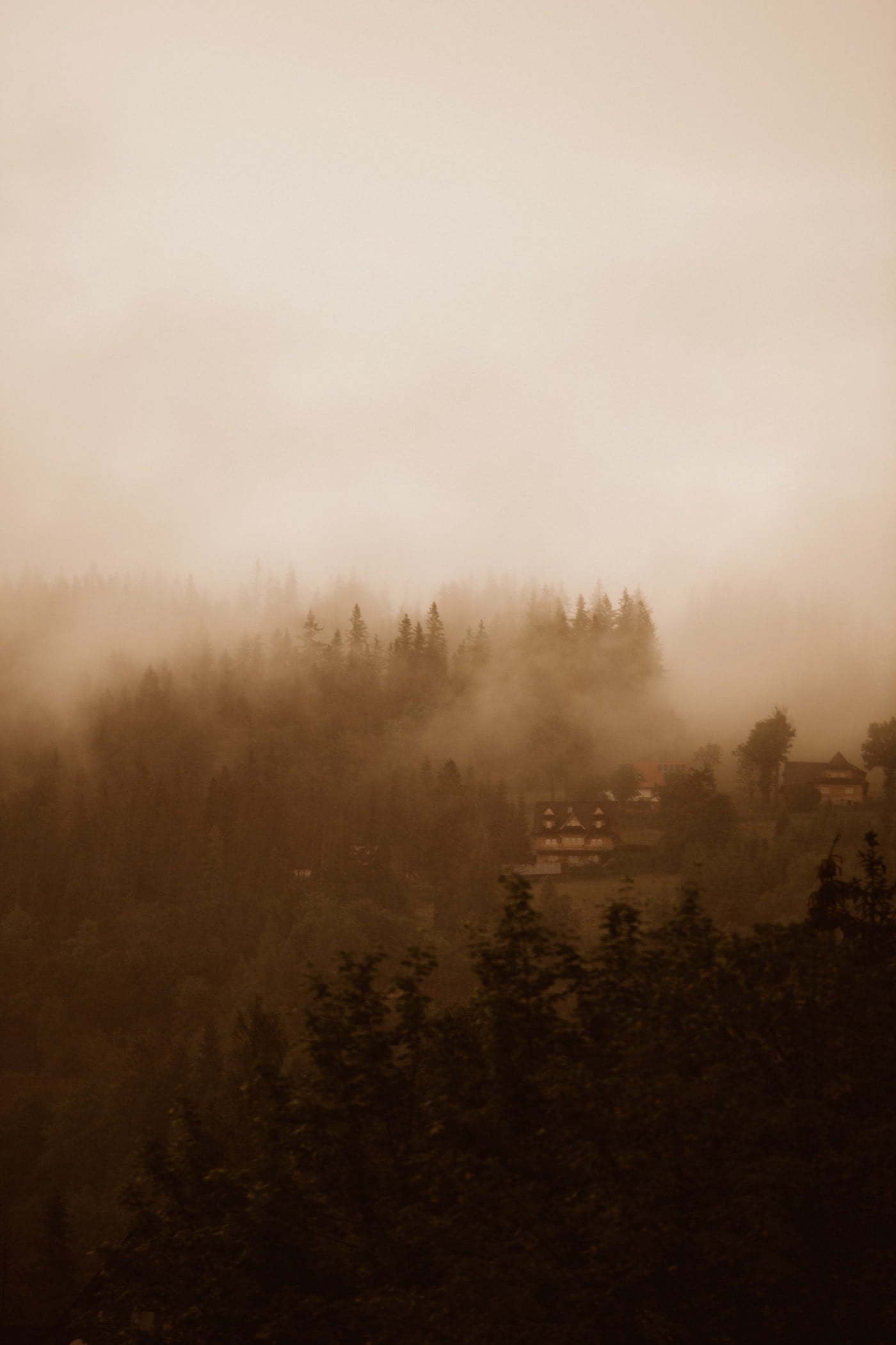 Moje ulubione zdjęcia z 2020 roku 65 ewelina zieba podsumowanie roku 2020 61