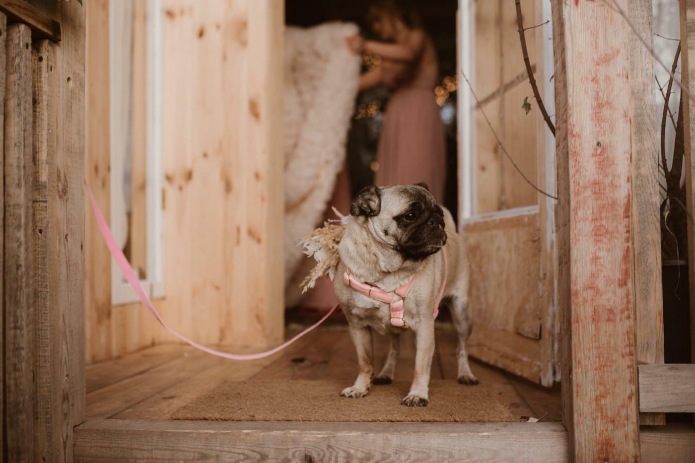 Moje ulubione zdjęcia z 2020 roku 76 ewelina zieba podsumowanie roku 2020 72