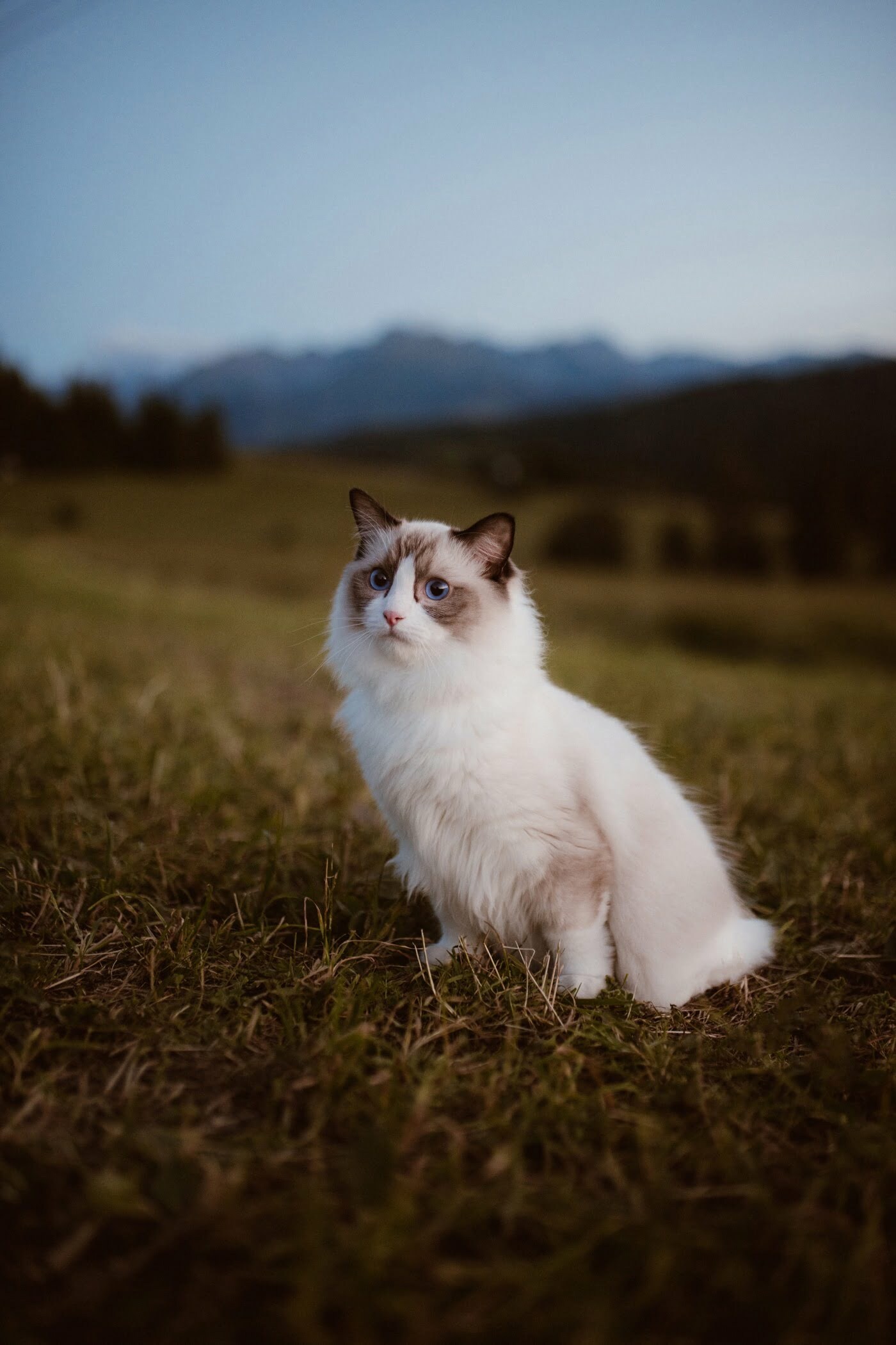 Moje ulubione zdjęcia z 2020 roku 88 ewelina zieba podsumowanie roku 2020 84