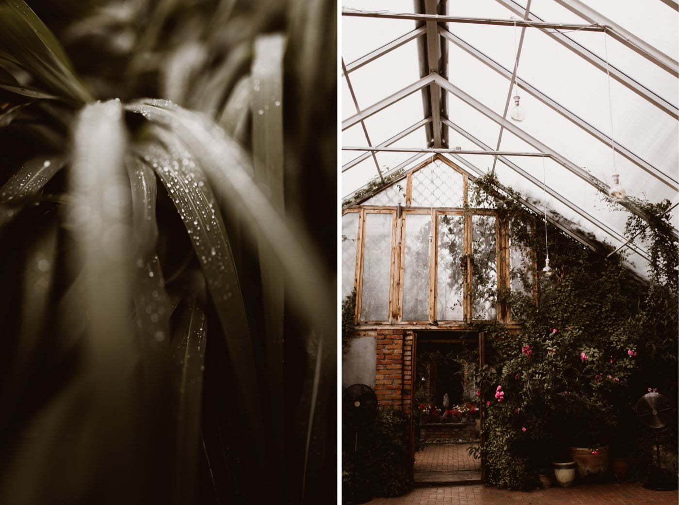 ewelina zieba rustykalne wesele stara oranzeria warszawa 002