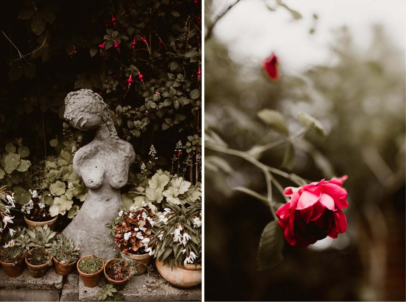 ewelina zieba rustykalne wesele stara oranzeria warszawa 004