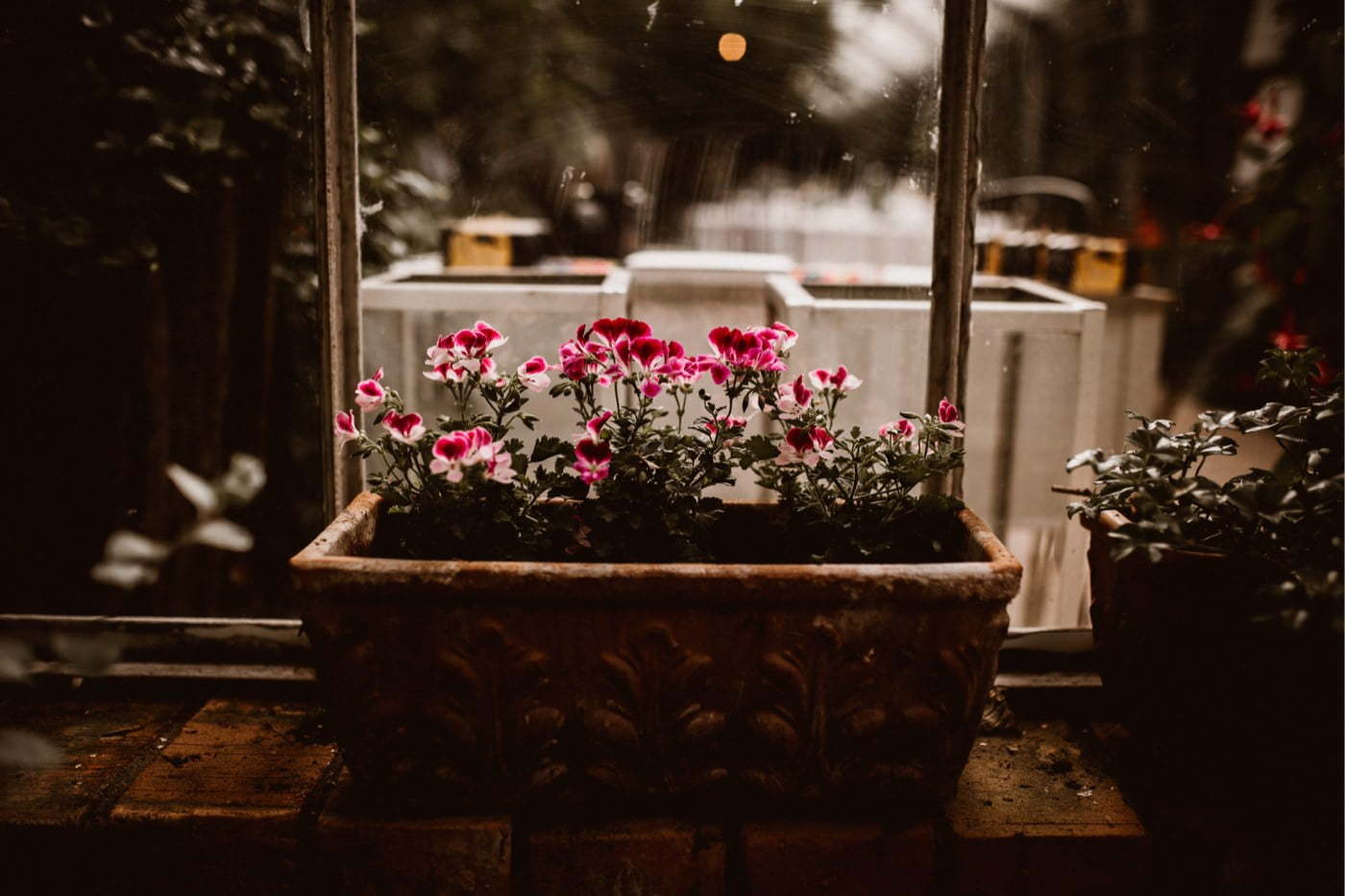 ewelina zieba rustykalne wesele stara oranzeria warszawa 023