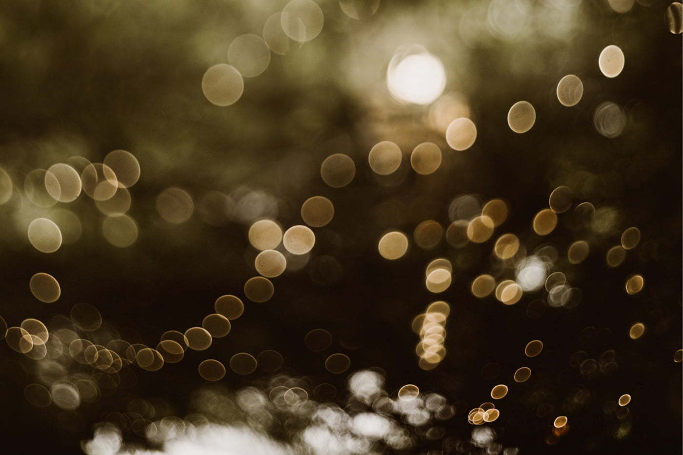 ewelina zieba rustykalne wesele stara oranzeria warszawa 059