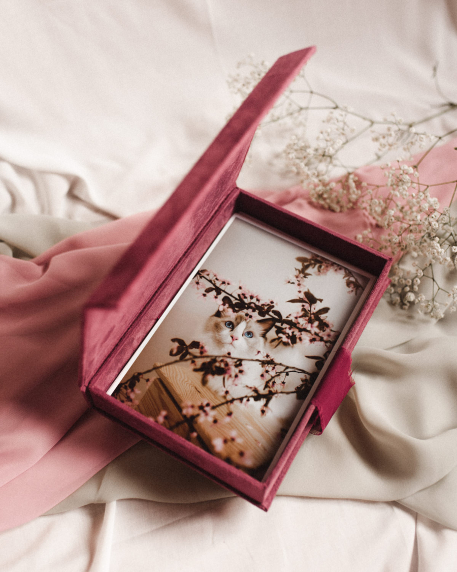 Pudełko na zdjęcia - Malinowy róż ze złotą grafiką