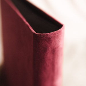 Tradycyjny album na zdjęcia - Malinowy róż ze złotym napisem miłość