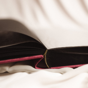 Tradycyjny album na zdjęcia - Malinowy róż ze złotym napisem miłość