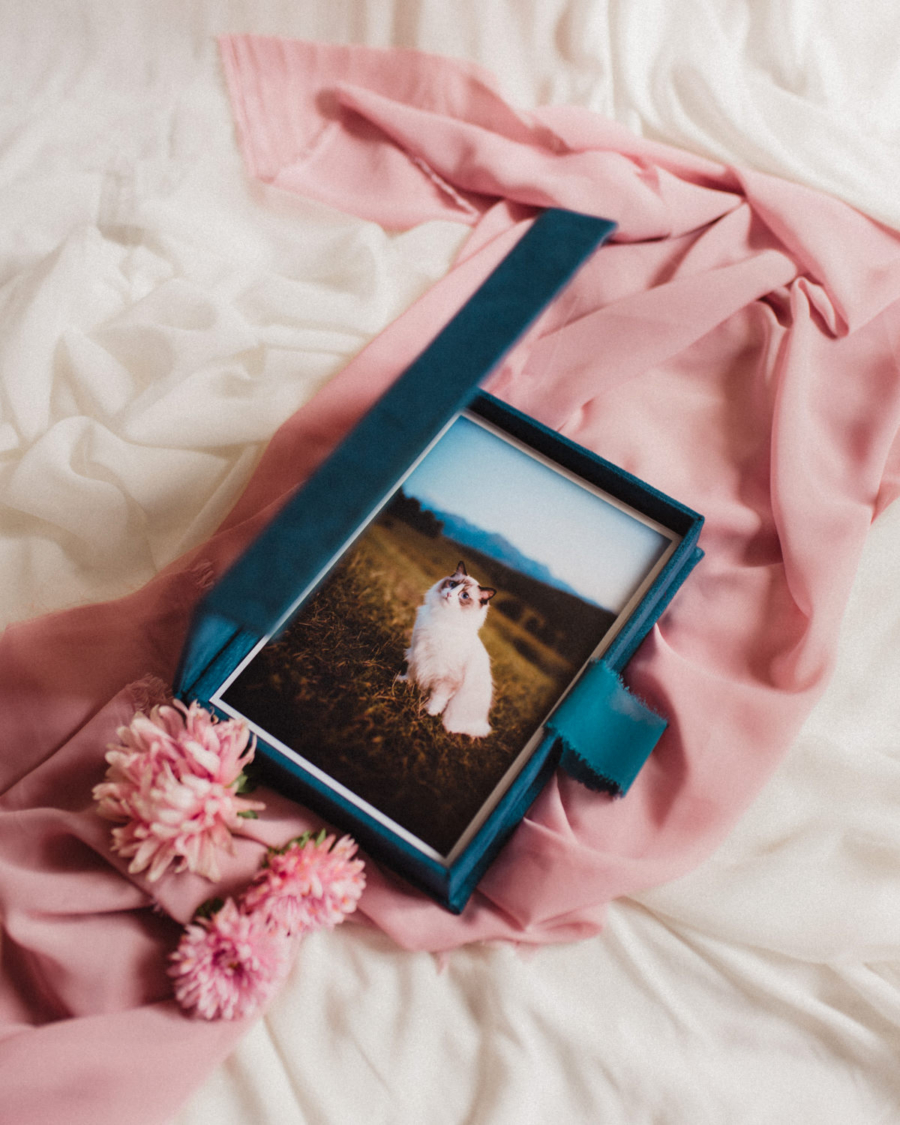 Pudełko na zdjęcia - Granatowe ze złotą grafiką