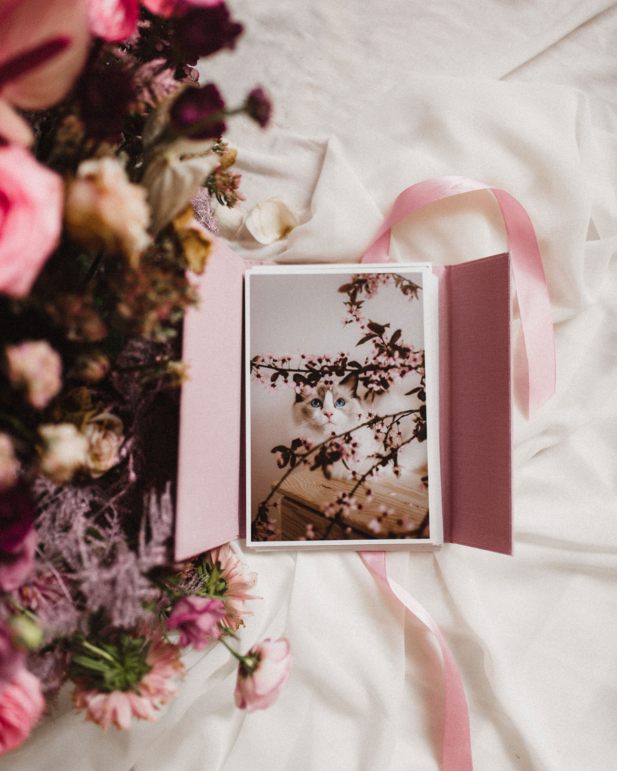 ewelina-zieba-teczka-na-zdjecia-w-kolorze-rozowym-05 Teczka na zdjęcia w kolorze różowym