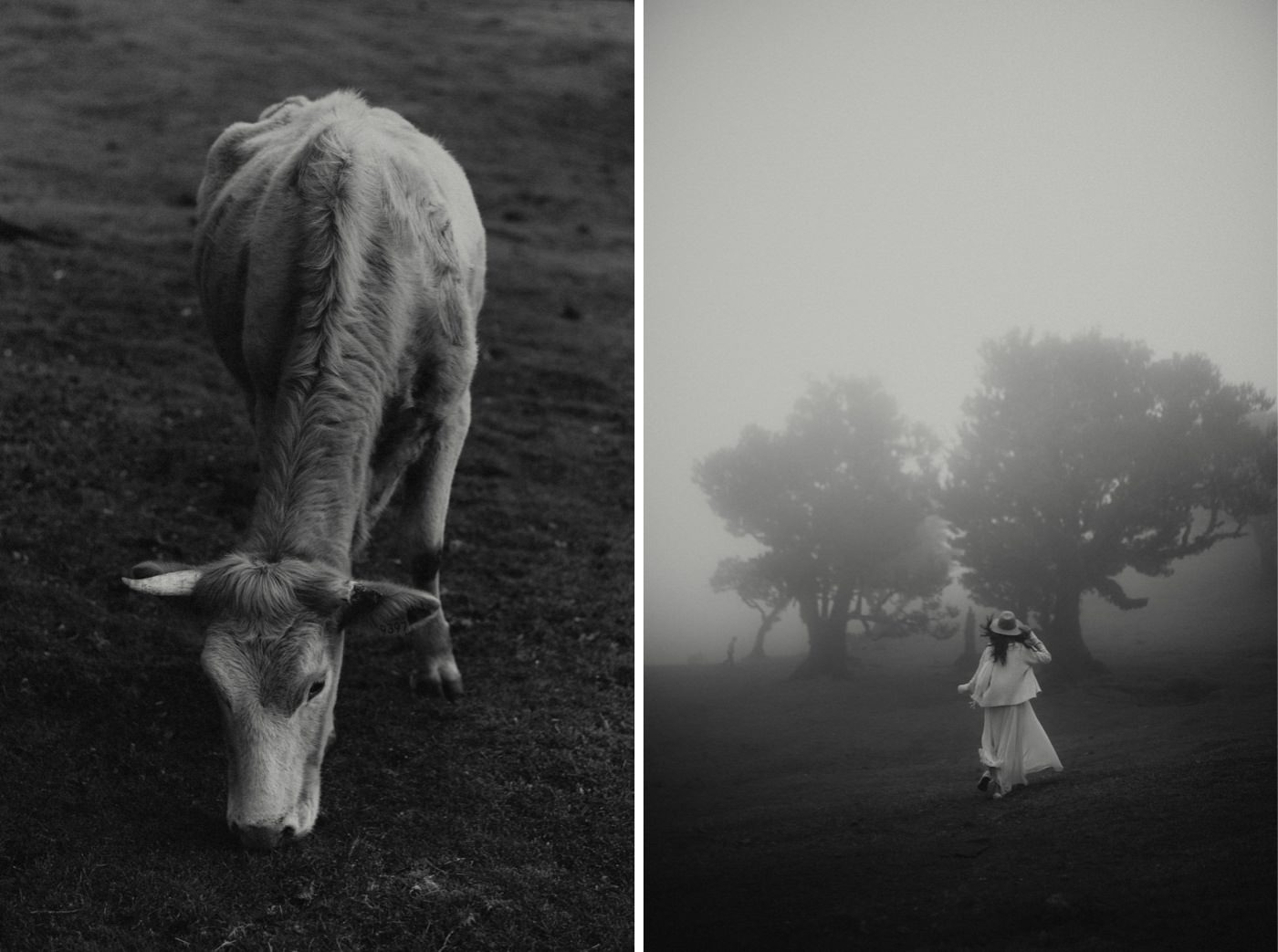 ewelina zieba sesja zdjeciowa na maderze 02