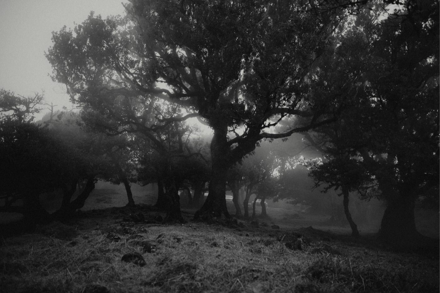 ewelina zieba sesja zdjeciowa na maderze 08