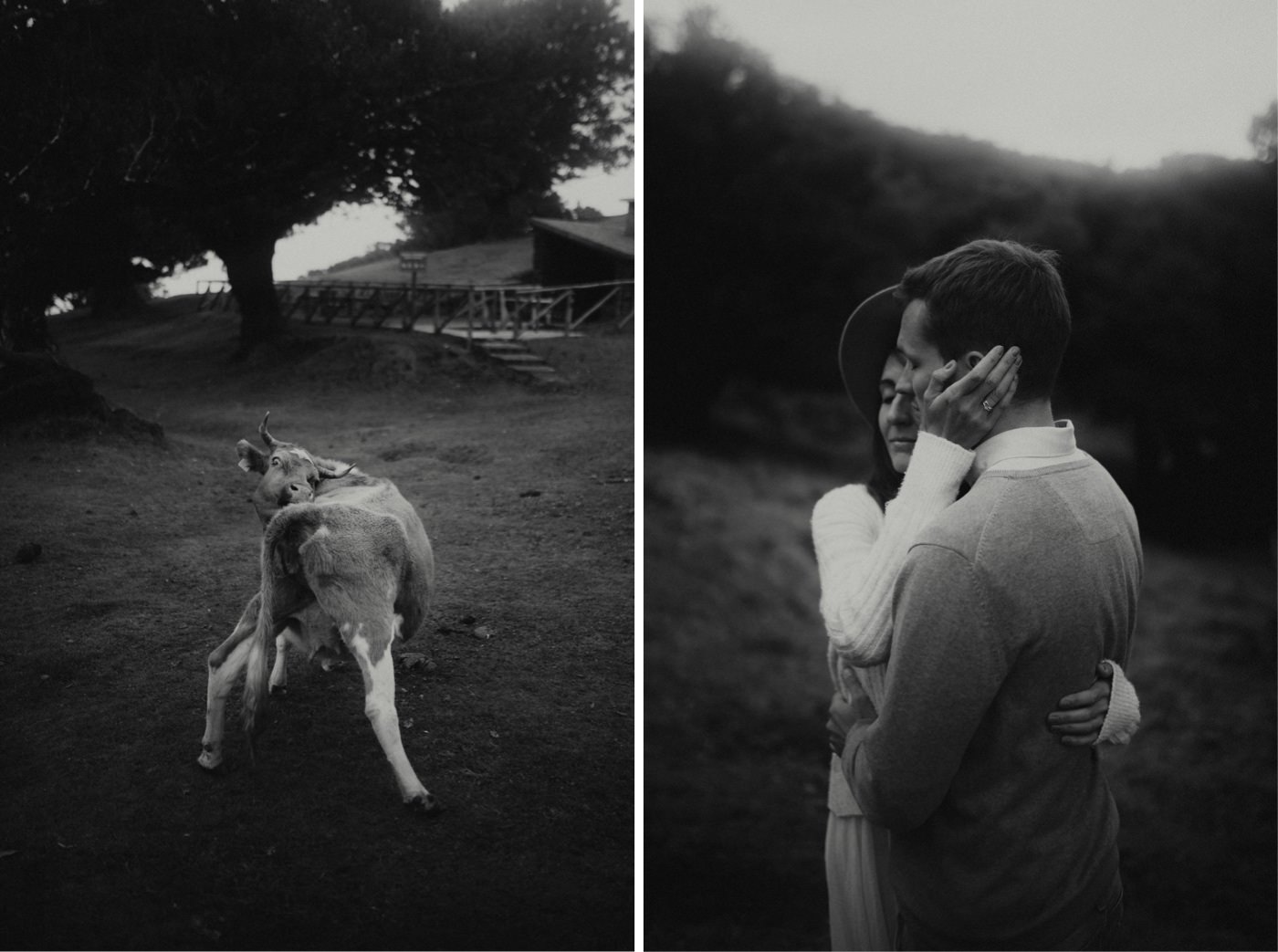 ewelina zieba sesja zdjeciowa na maderze 11