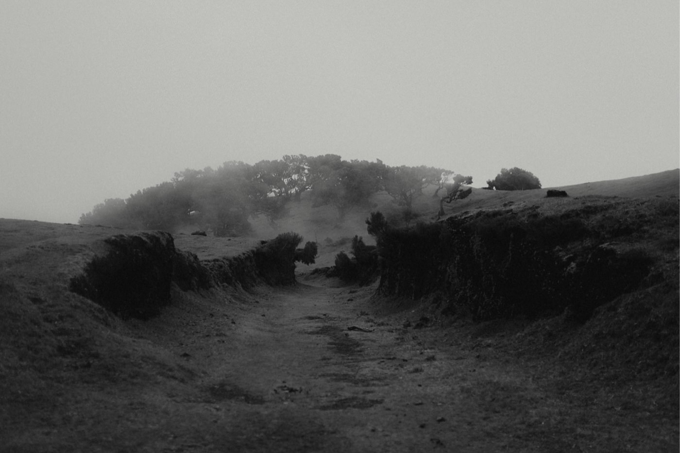 ewelina zieba sesja zdjeciowa na maderze 13