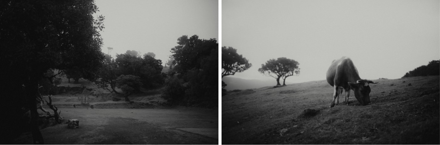 ewelina zieba sesja zdjeciowa na maderze 16