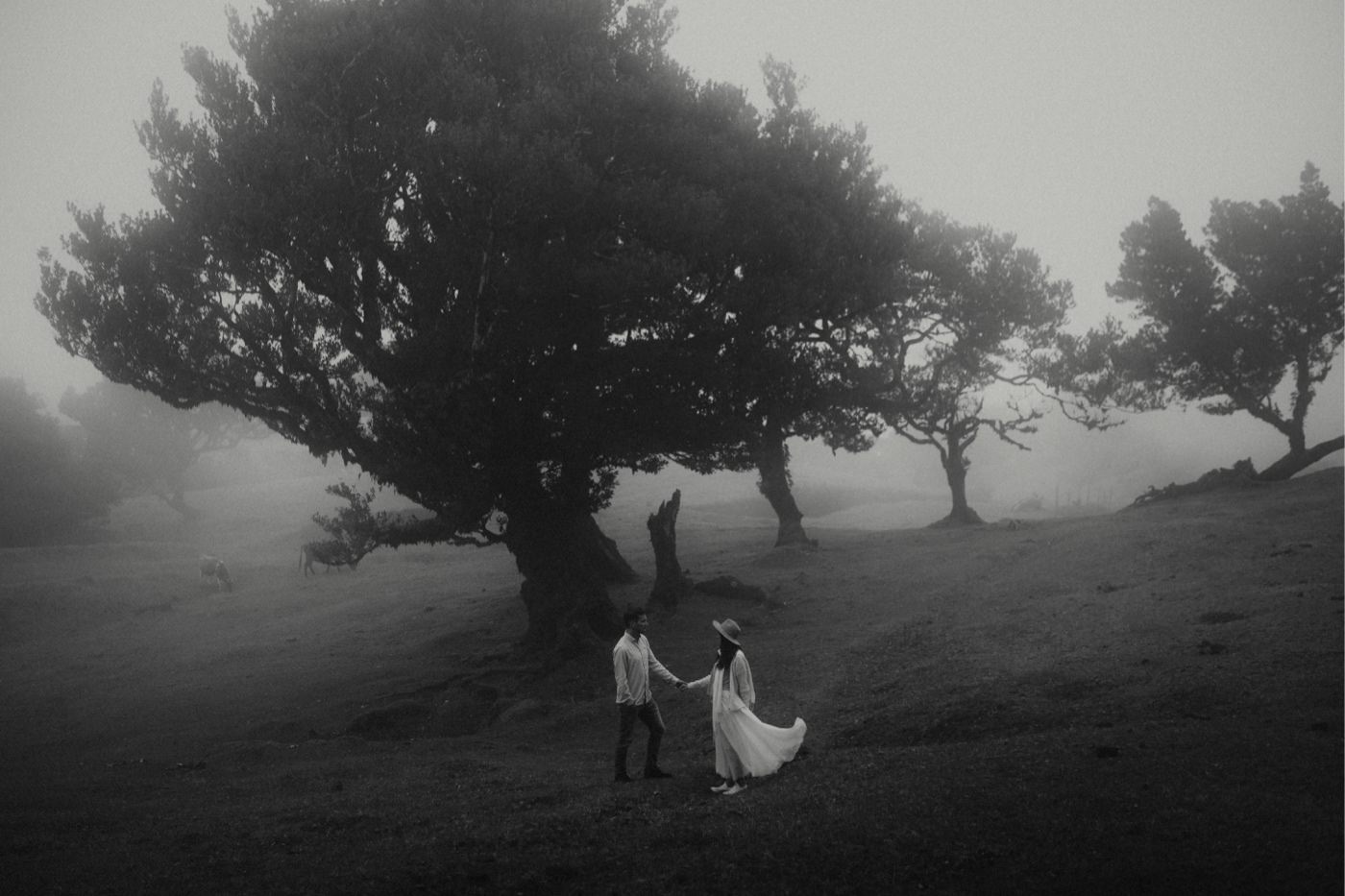 ewelina zieba sesja zdjeciowa na maderze 19