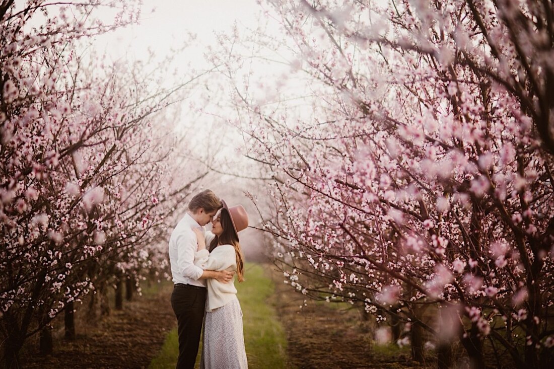 Sesja w kwitnącym sadzie 12 sesja narzeczenska w sadzie
