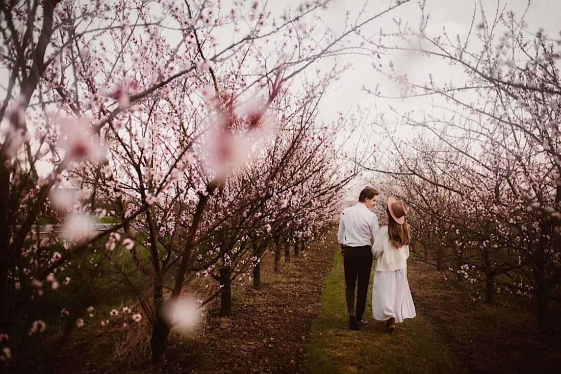 Sesja w kwitnącym sadzie 14 sesja narzeczenska w sadzie 2