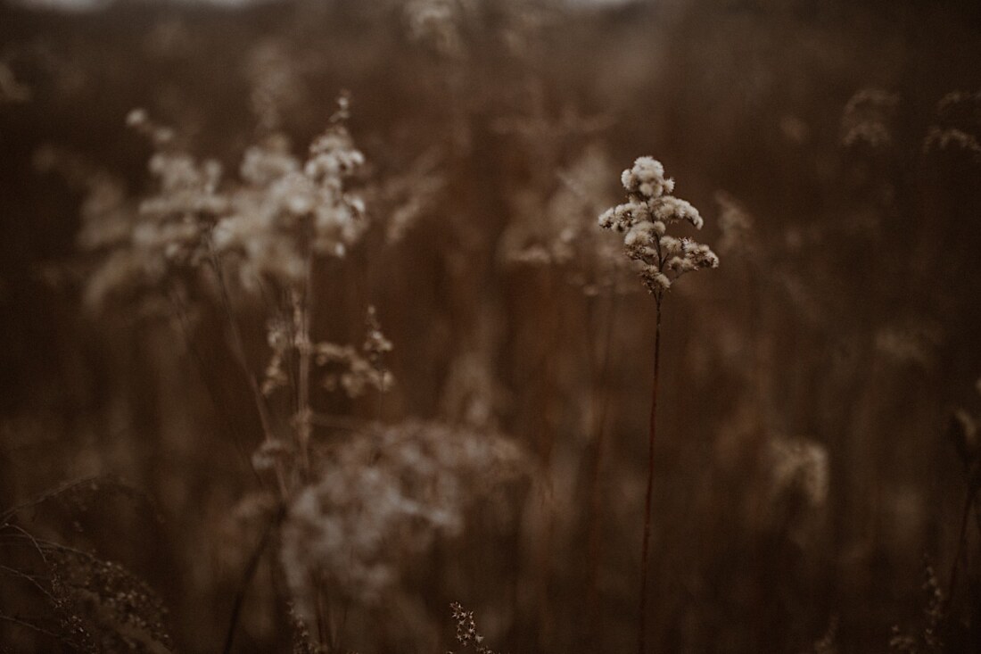 sesja narzeczenska krakow