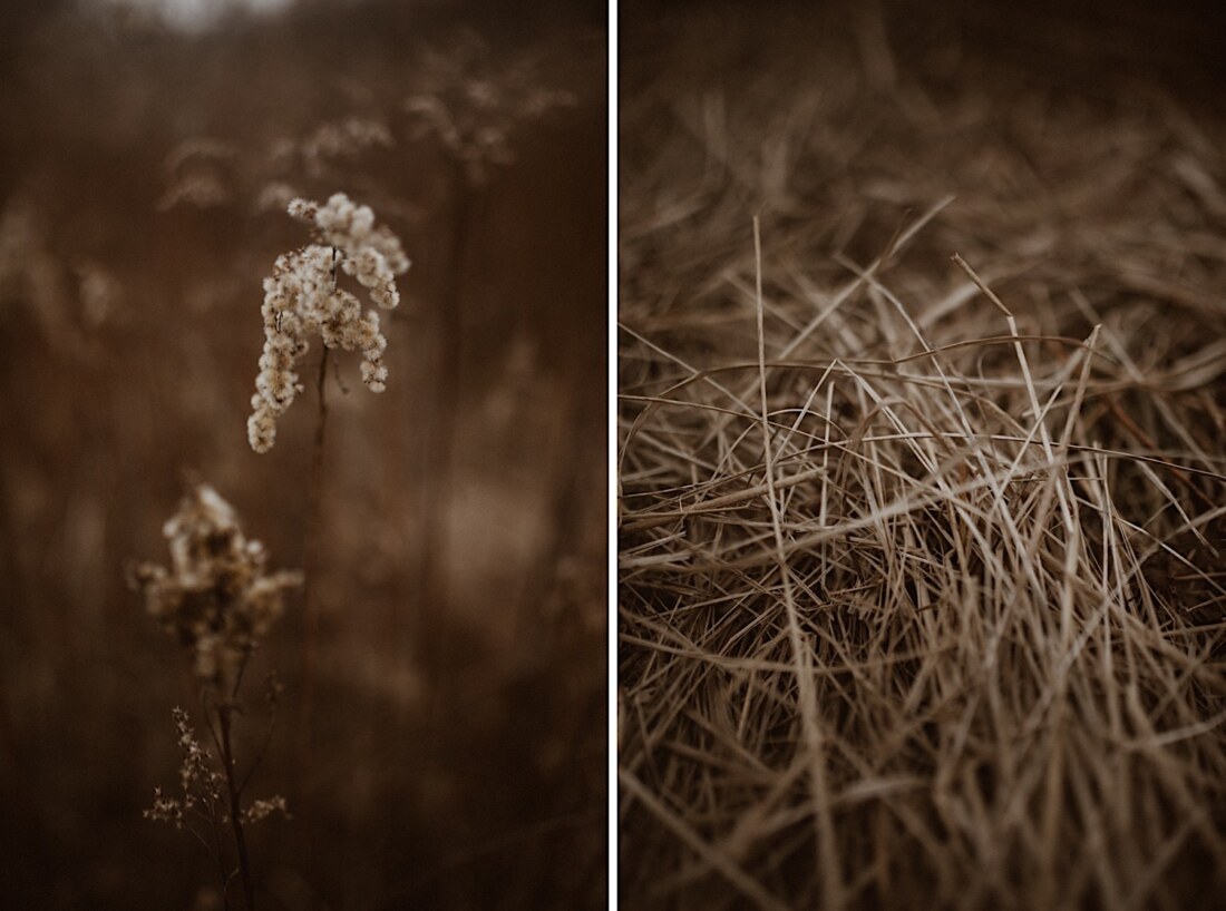 sesja narzeczenska krakow1
